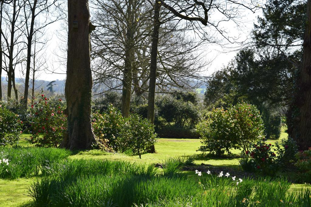 Llansabbath Country House B&B Abergavenny ภายนอก รูปภาพ