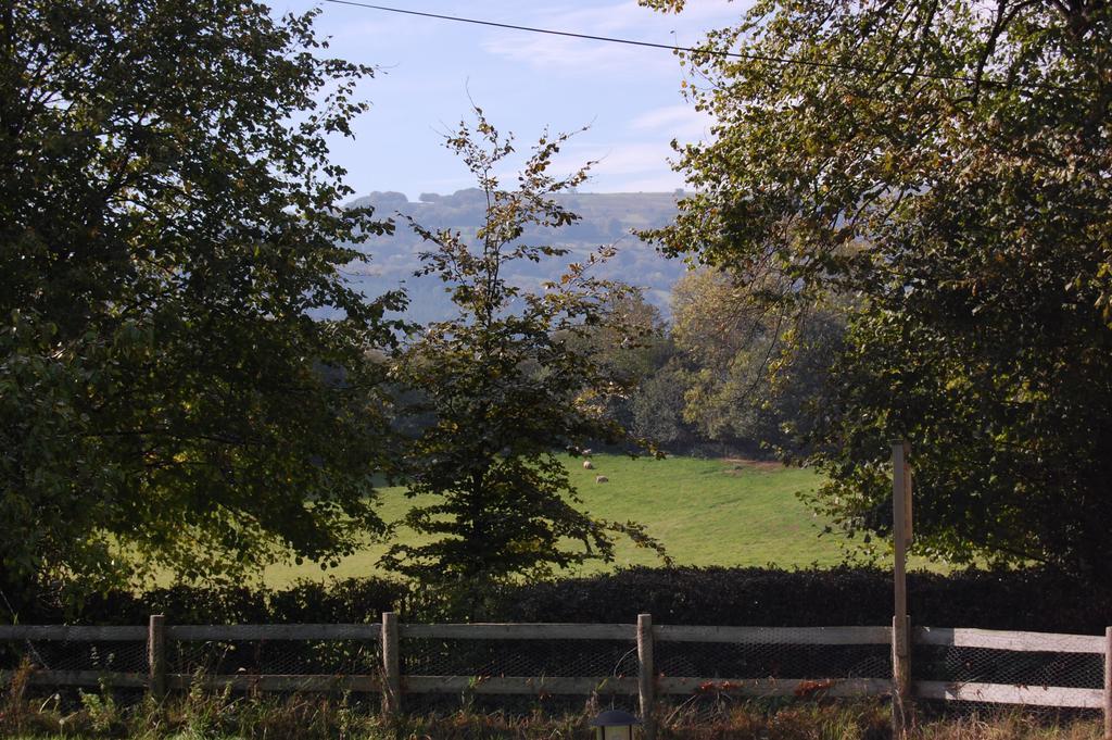 Llansabbath Country House B&B Abergavenny ภายนอก รูปภาพ